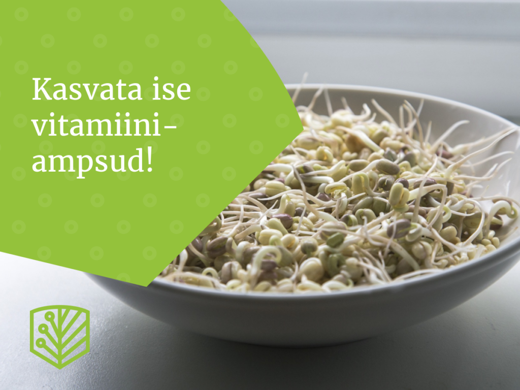 Kasvata ise vitamiiniampsud! Saage juhiseid, kuidas koduaias kasvatada tervislikke köögivilju ja vitamiine.