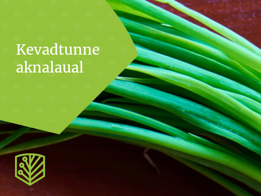 Kevadtunne aknalaual – saage inspiratsiooni ja näpunäiteid sellest, kuidas luua oma koduakendel kevadist atmosfääri.