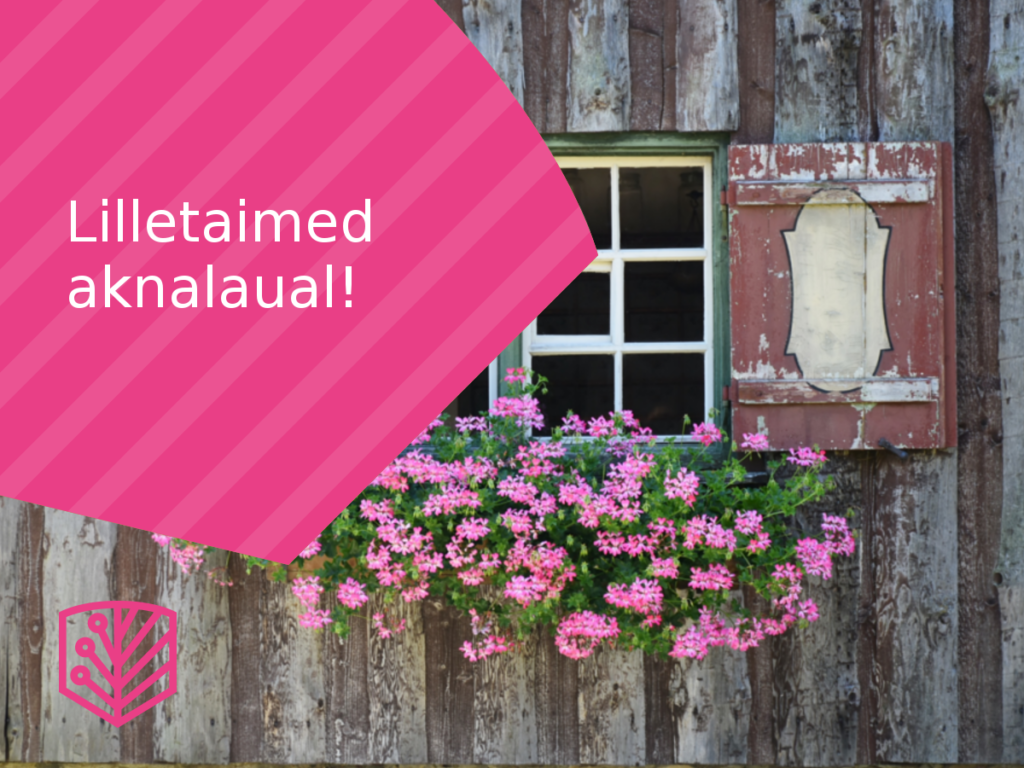 Lilletaimede ettekasvatamine aknalaual – õppige, kuidas saada tugevaid ja tervislikke taimi enne nende õue istutamist.