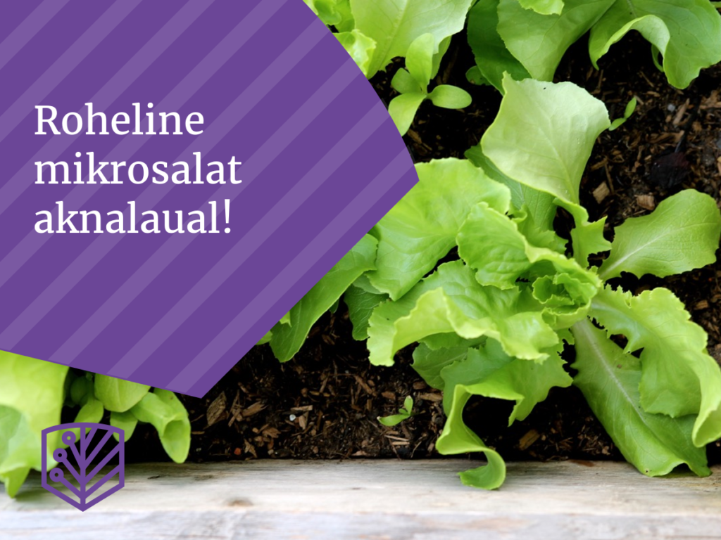 Roheline mikrosalat – tervislik ja maitsev viis oma toidulauda rikastada. Kasvatage seda ise ja nautige värskete maitsete võlu!
