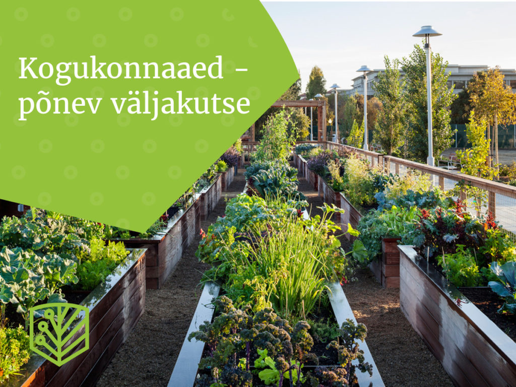 Kogukonnaaed – lugege, kuidas saate osaleda selle põneva väljakutsega usinate linnaaednikuna.