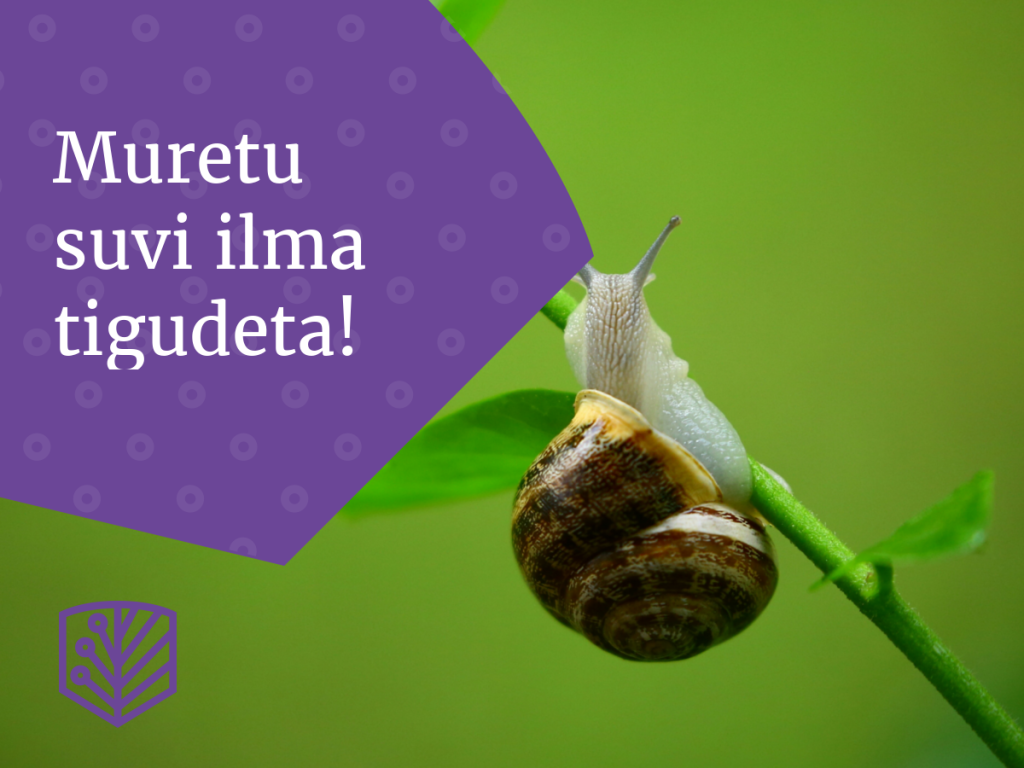 Naudi suve ilma tigudeta - saage näpunäiteid, kuidas tõrjuda tigusid oma aias ja nautida tigudevaba suve.