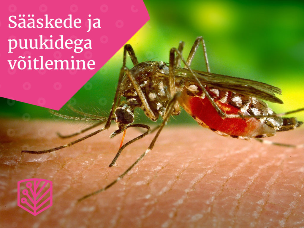 Kuidas võidelda sääskede ja puukidega? Saage teada tõhusatest meetoditest, kuidas kaitsta end nende tüütute putukate eest.