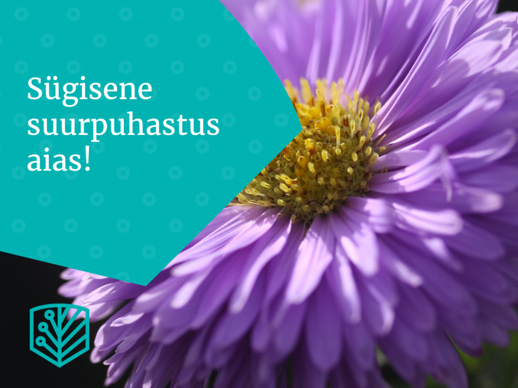 Sugisesed tööd ja puhastus aias – leidke nõuandeid, kuidas valmistada oma aed talveks ette ja hoida seda korras.