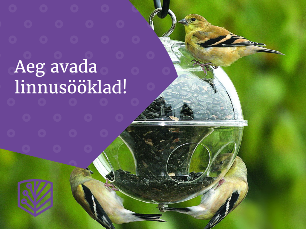 Lindude toitmine sügisel ja talvel – saage teada, kuidas toita linde külmadel kuudel ja luua oma aeda lindude paradiis.