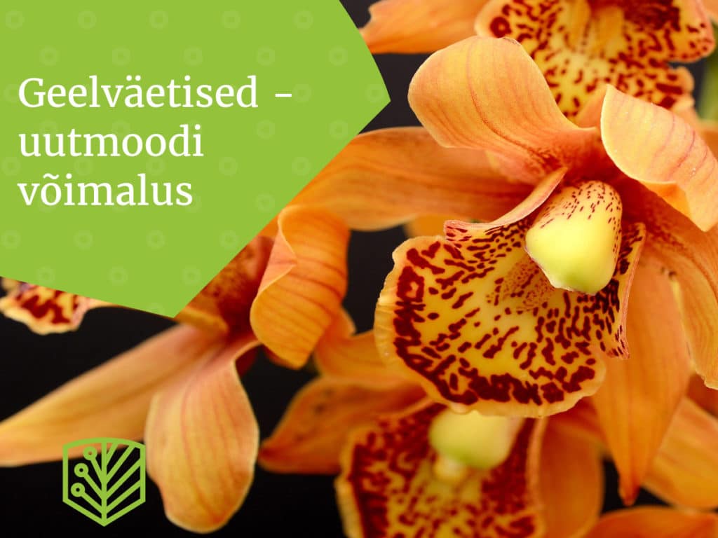 Geelväetised – Uus ja tõhus viis oma taimede toitmiseks. Tutvuge, kuidas neid kasutada oma aia edukaks arenguks.