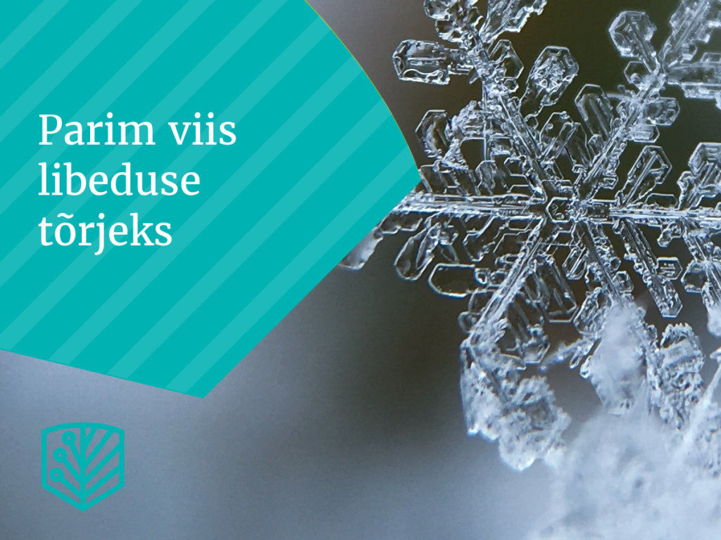 Parim viis libeduse tõrjeks – õppige, kuidas hoida oma kodu ümbrust talvel ohutuna ja libedusest vaba.