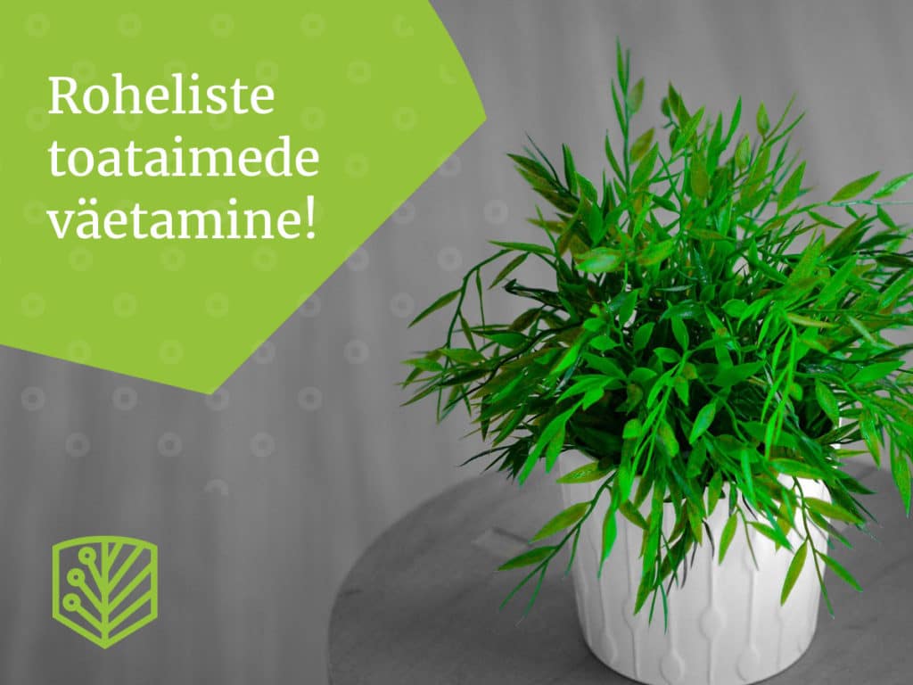 Toataimede väetamine – põhitõed dekoratiivsete lehtedega toataimede jaoks. Õppige, kuidas hoida oma toalilli õitsvatena.