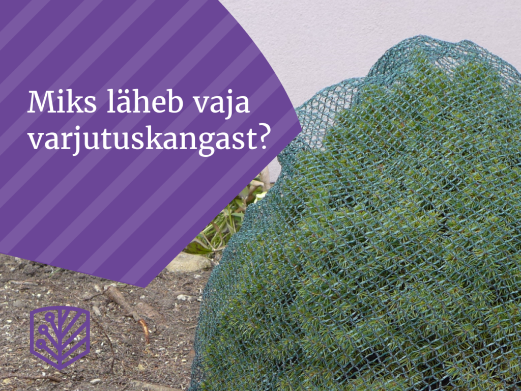 Miks läheb vaja varjutuskangast? Õppige, kuidas kaitsta oma taimi liigse päikesevalguse eest ja tagada nende tervislik kasv.