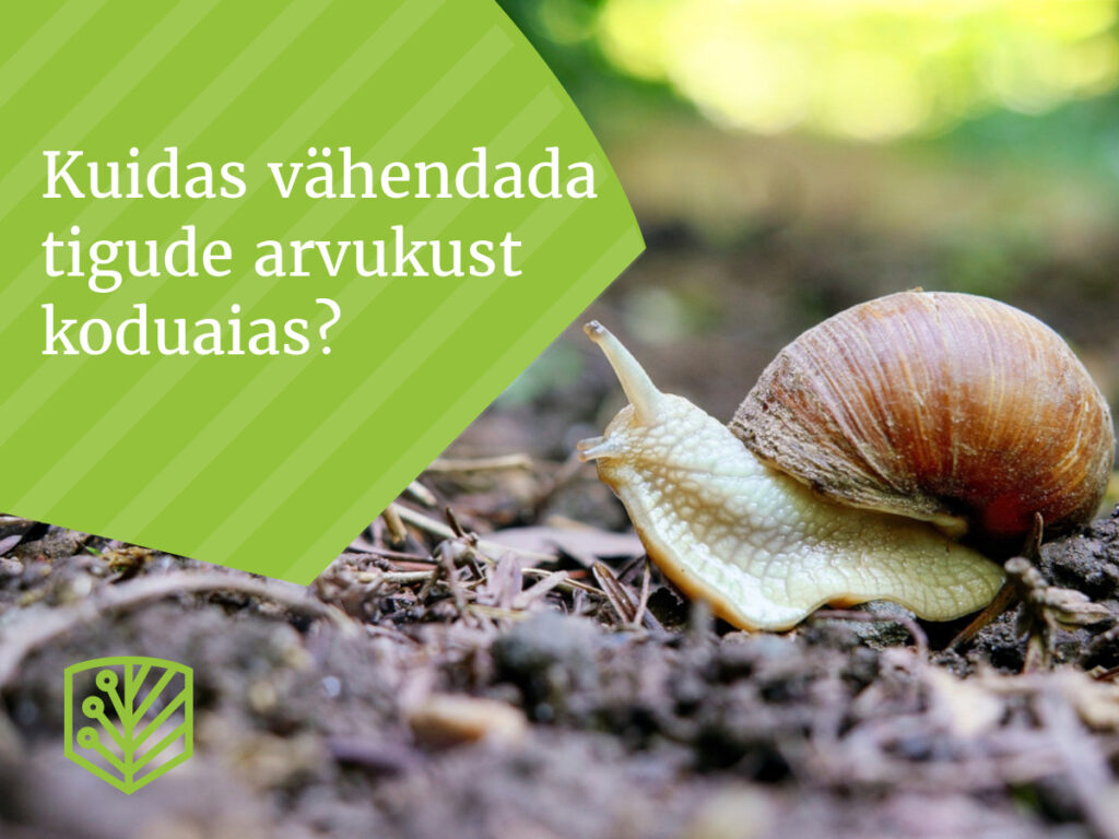 Kuidas vähendada tigude arvukust koduaias? Uurige erinevaid meetodeid, kuidas kaitsta oma taimi tigude eest.