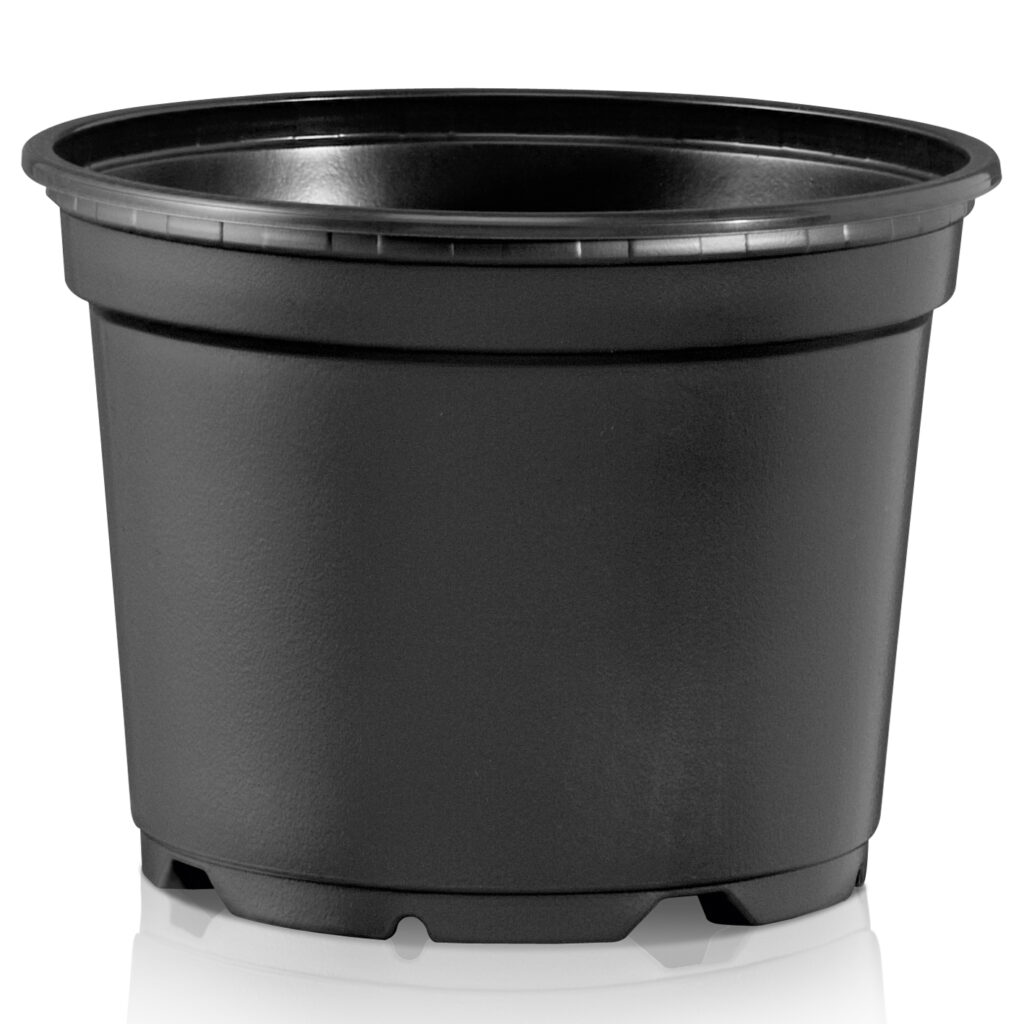 Ümarpott 11cm must /terra 10tk