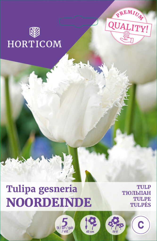 Tulp Noordeinde 5tk C