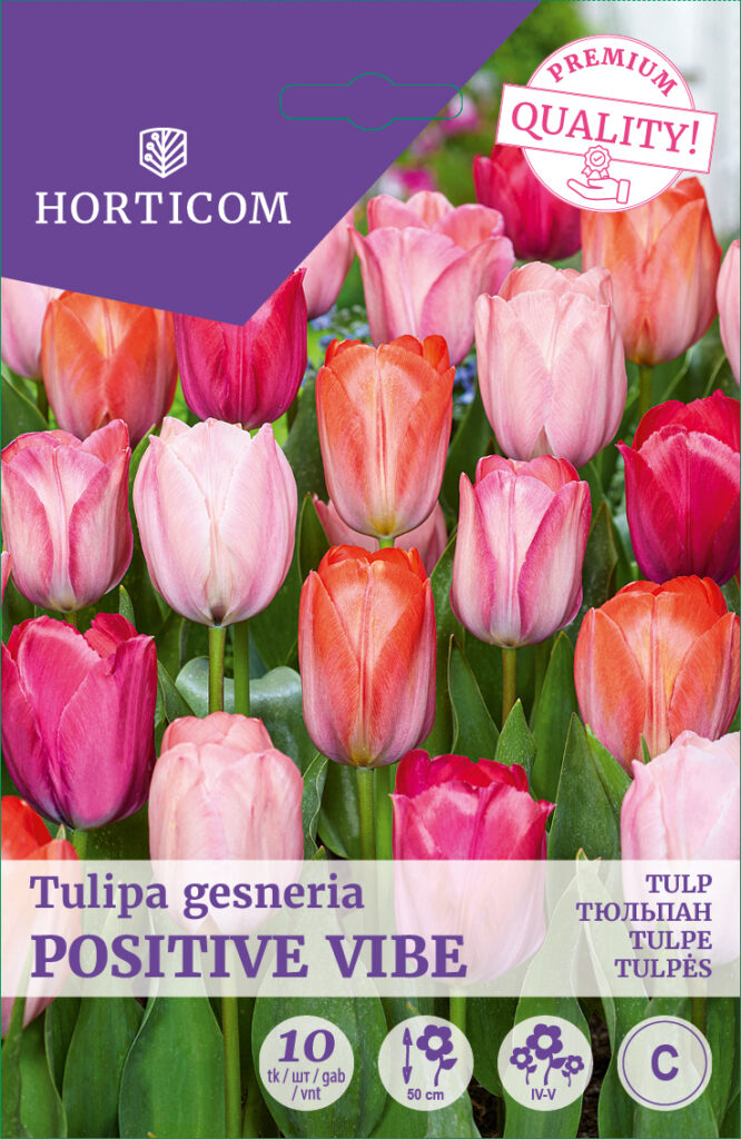 Tulp Positive Vibe 10tk C