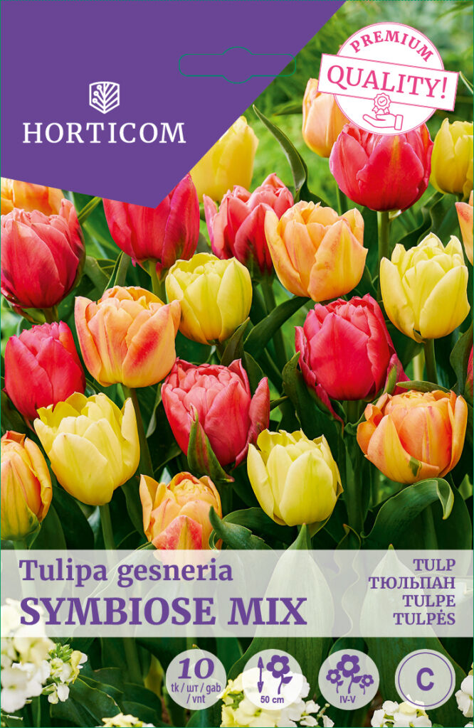 Tulp Symbiose Mix 10tk C