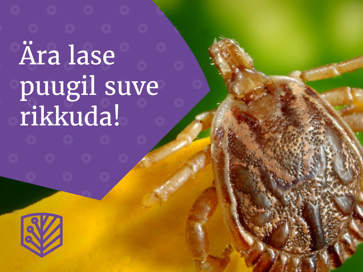Ära lase puugil suve rikkuda