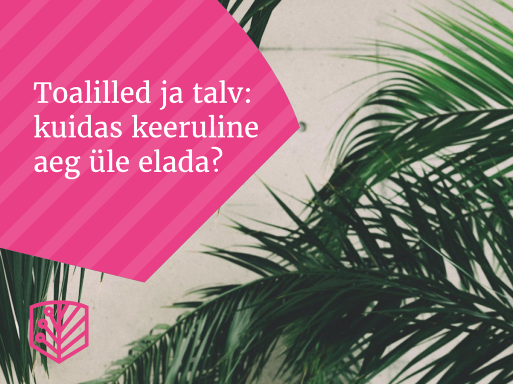 Toalilled ja talv: kuidas keeruline aeg üle elada?