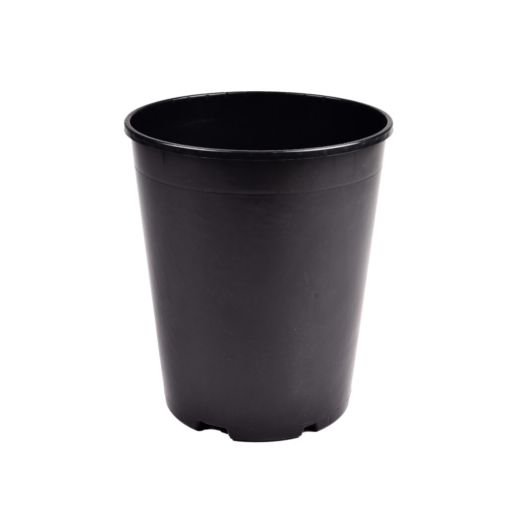 Roosikonteiner 7L 22 x 25,6cm IPP Desch