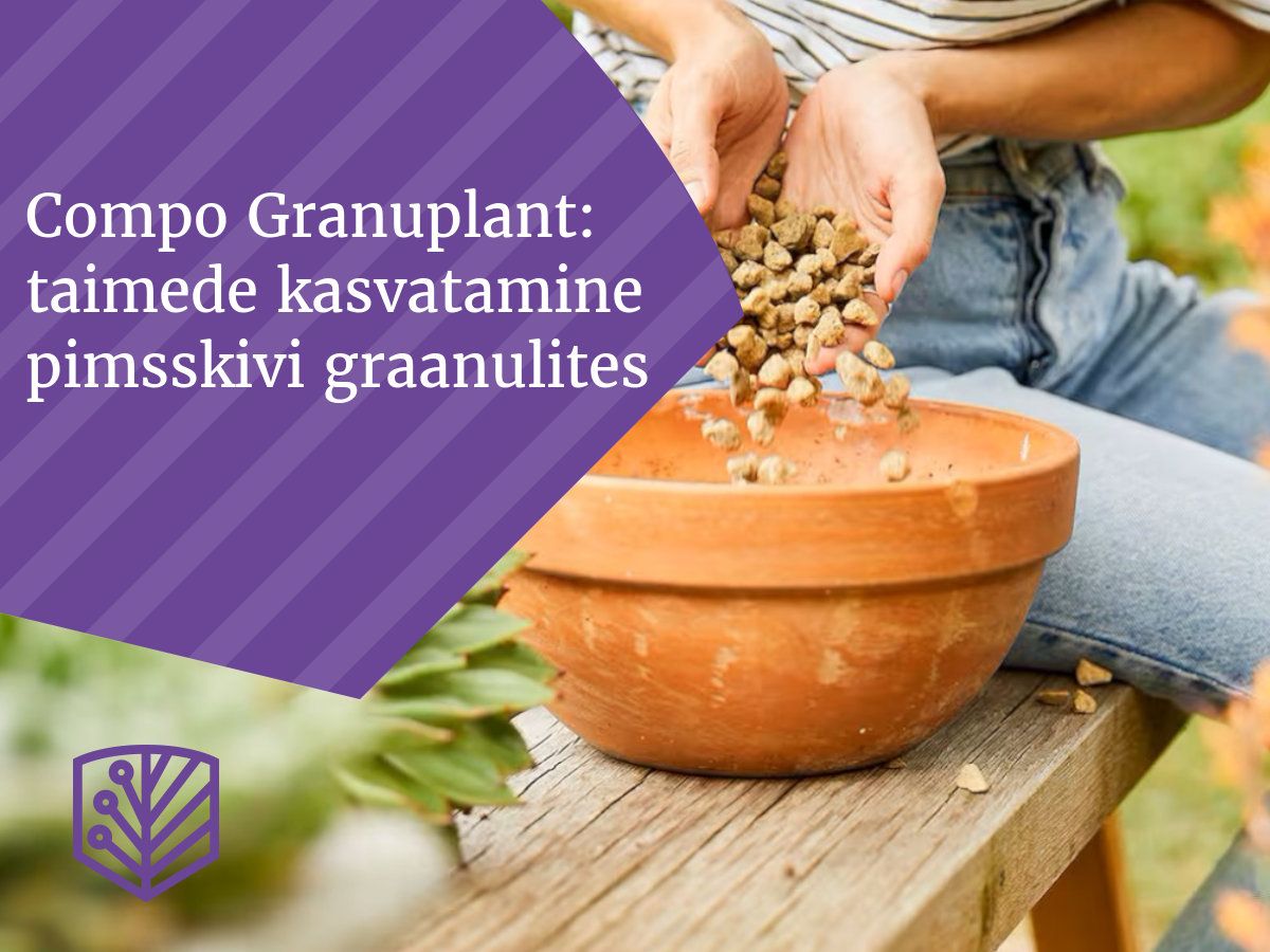 Mis on GRANUPLANT? GRANUPLANT istutusgraanulid on looduslikust pimsskivist valmistatud graanulid, mis on jätkusuutlik alternatiiv kergkruusale. Pimsskivigraanul