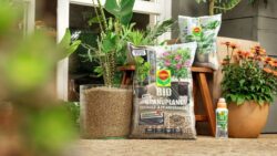 Compo granuplant istutusgraanulid