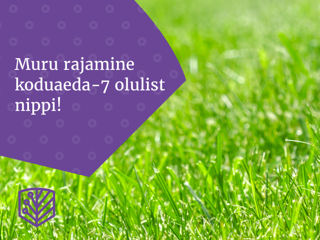 Muru rajamine koduaeda