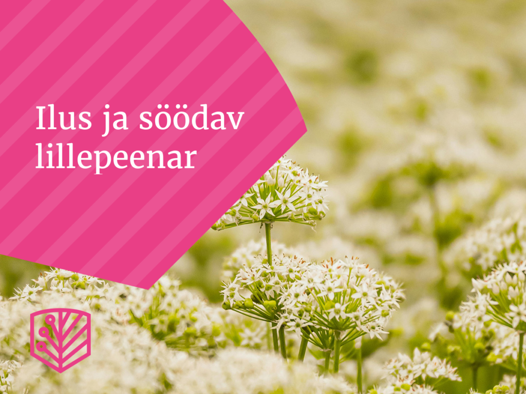 Ilus ja söödav lillepeenar - blogi