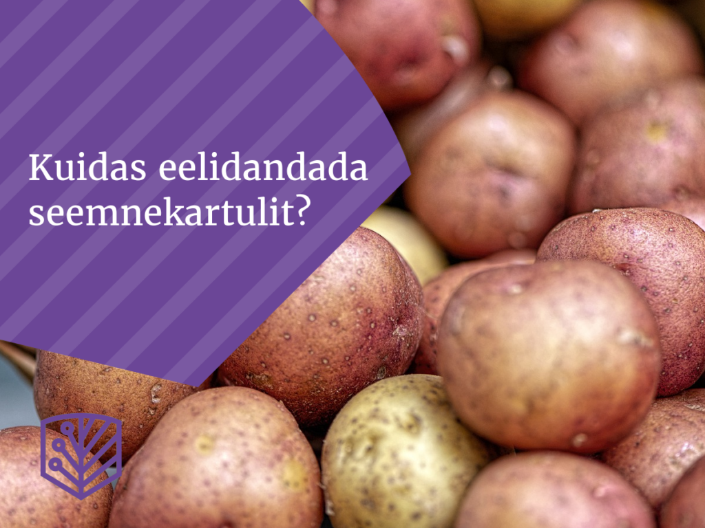 Kuidas eelidandada seemnekartulit