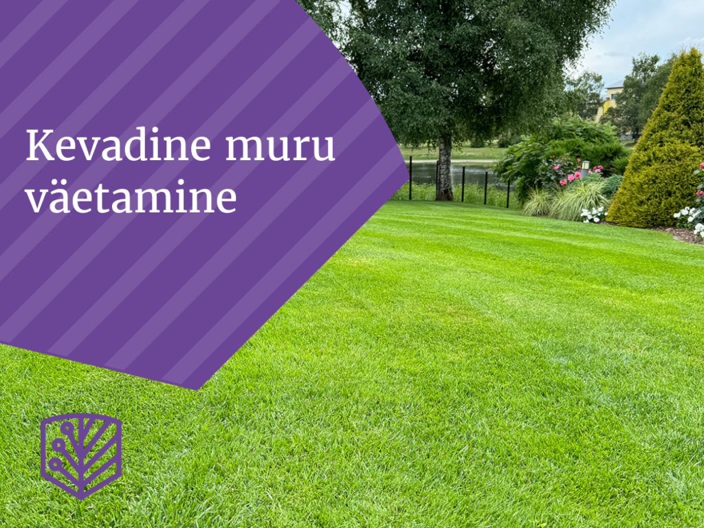 Kevadine muru väetamine
