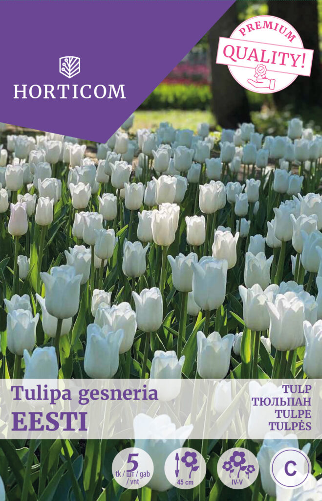 Tulp Eesti (triumph) 5tk C