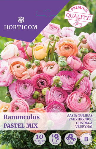 Aasia tulikas (ranunculus) Pastel Mix 10tk B