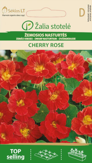 Väike mungalill Nasturtium Dwarf ?herry Rose - Tropaeolum minus L. Väike mungalill Nasturtium Dwarf ?herry Rose - Tropaeolum minus L.