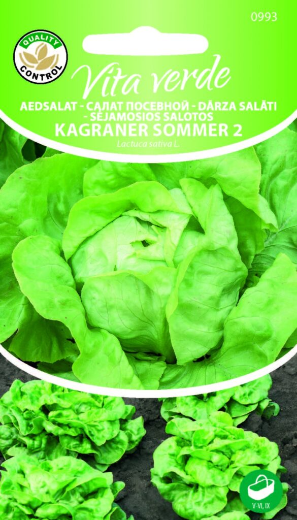 Peasalat Kagraner Sommer