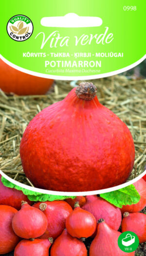 Muskaatkõrvits Potimarron