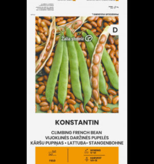 Aeduba Konstantin - Phaseolus vulgaris L. Aeduba Konstantin - Phaseolus vulgaris L.