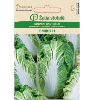 Hiinakapsas Emiko H - Brassica rapa L. Hiinakapsas Emiko H - Brassica rapa L.