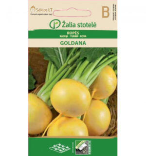 Naeris Goldana - Brassica rapa L.