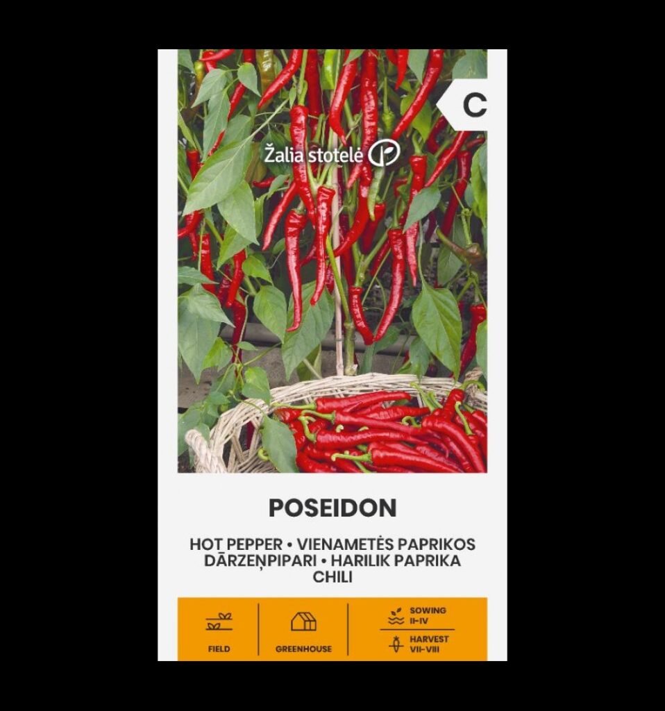 Kibe pipar Poseidon - Capsicum annuum L.