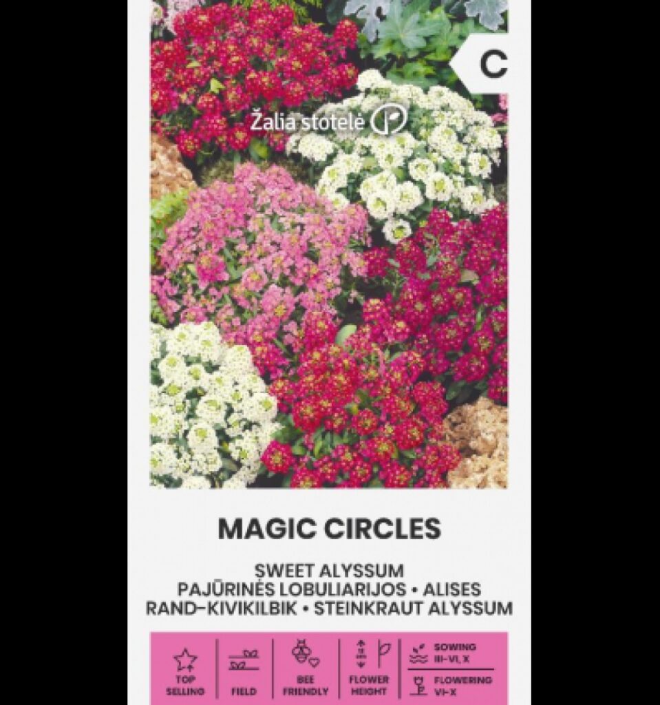 Kivikilbik Sweet Alyssum Magic Circles Mix - Lobularia maritima L. Desv.