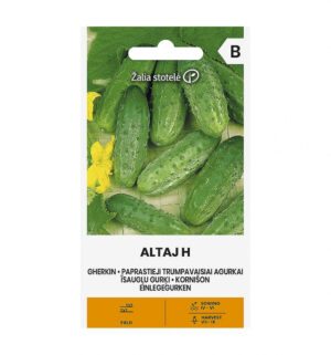 Kurk Altaj H - Cucumis sativus L.