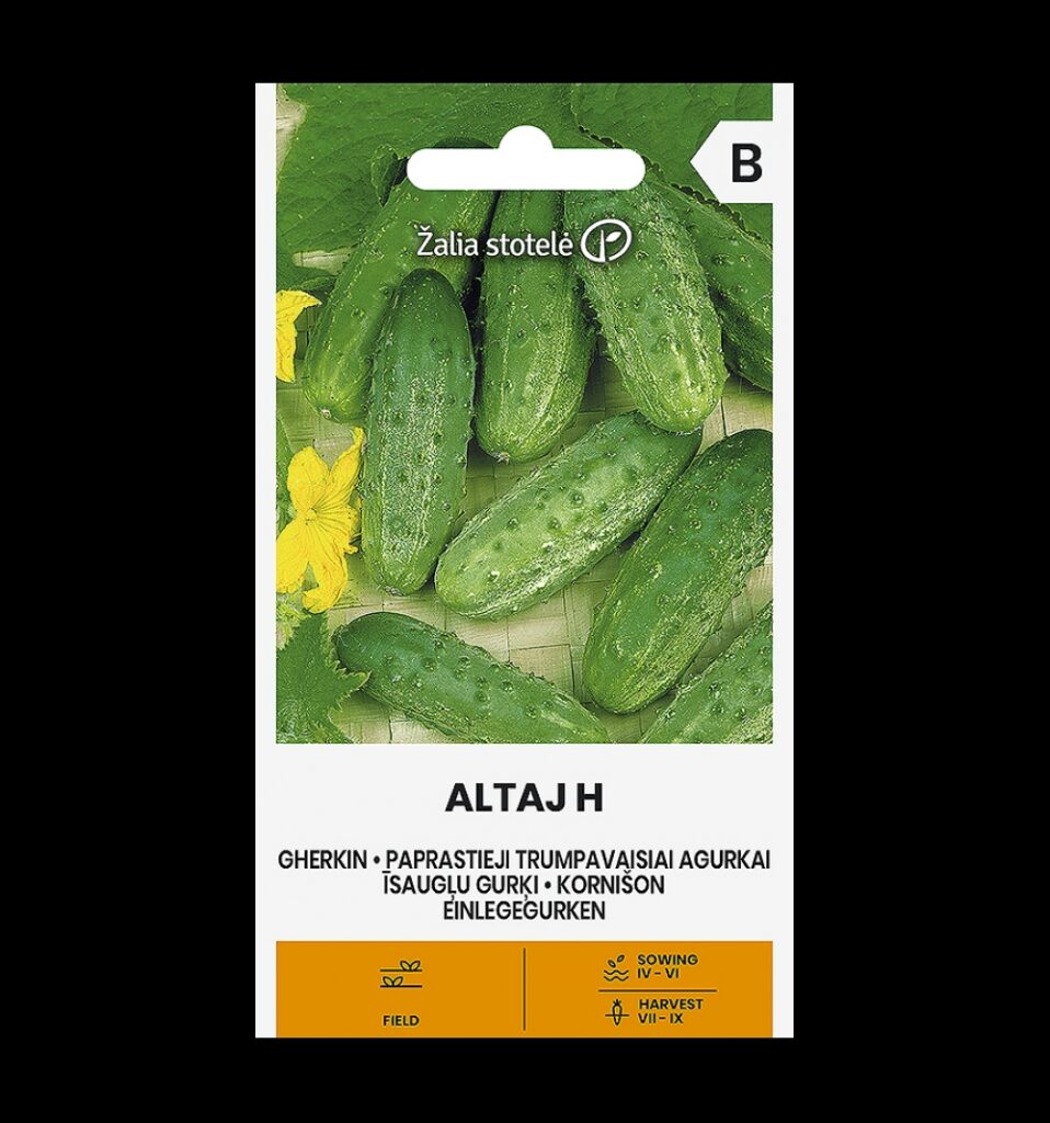 Kurk Altaj H - Cucumis sativus L.