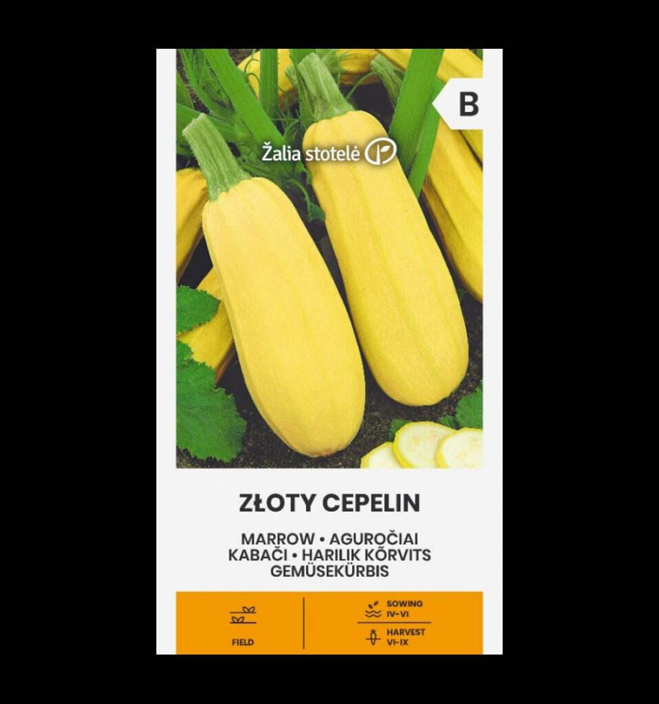 Kõrvits Zloty cepelin - Cucurbita pepo L.