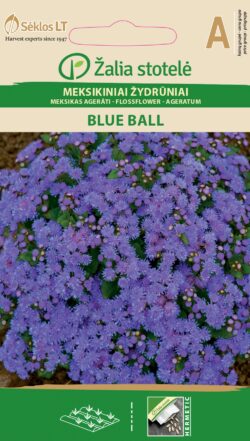 Mehhiko päsmaslill Flossflower Blue Ball Blue - Ageratum houstonianum Mill.