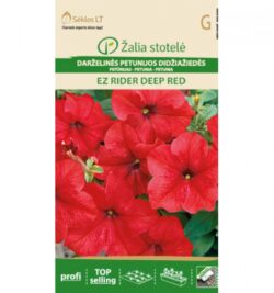 Petuunia Petunia Grand Ez Rider Deep Red - Petunia Hybrida Grandiflora