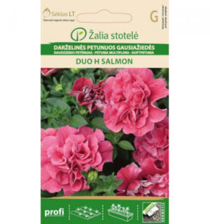 Petuunia Mult. Double Duo H Salmon Duo H Salmon - Petunia hybrida multiflora G Petuunia Mult. Double Duo H Salmon Duo H Salmon - Petunia hybrida multiflora G