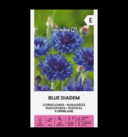 Rukkilill Cornflower Blue Diadem - Centaurea L.