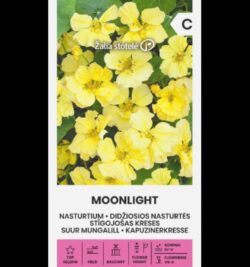 Suur mungalill Nasturtium Moonlight- Tropaeolum majus L.