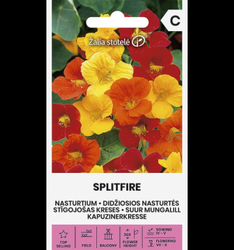 Suur mungalill Nasturtium Splitfire - Tropaeolum majus L.