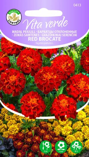 Madal Peiulill Red Brocate