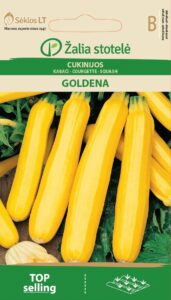 Suvikõrvits Goldena - Cucurbita pepo L.