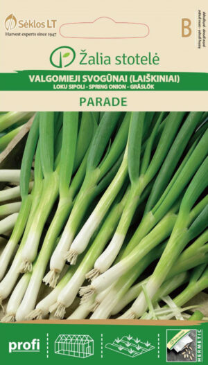 Salatsibul Parade - Allium fistulosum L. Salatsibul Parade - Allium fistulosum L.