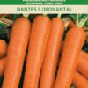 Porgand Nante 5 Monanta - Daucus carota L.
